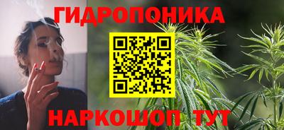 крисы Татарск