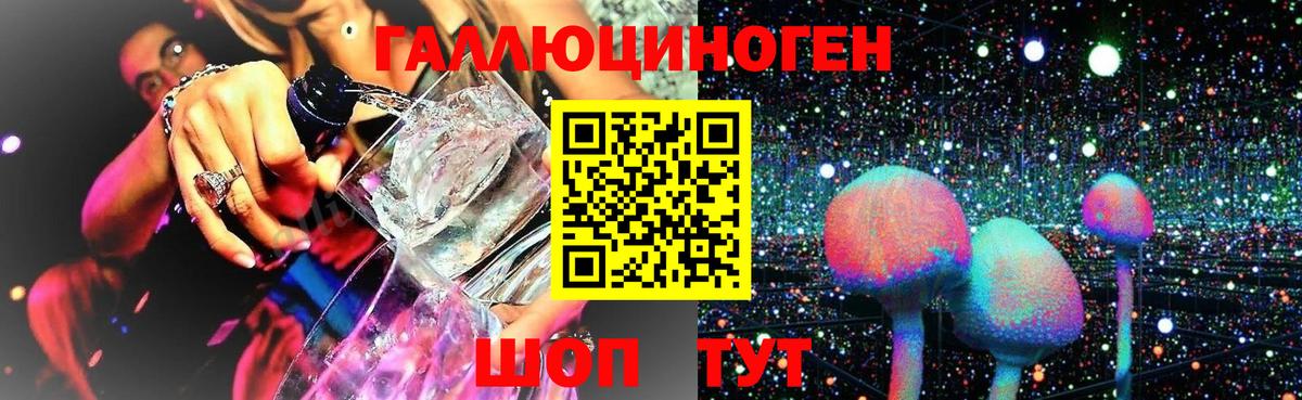 Муравленко  Псилоцибиновые грибы мухоморы  Вход с VPN 